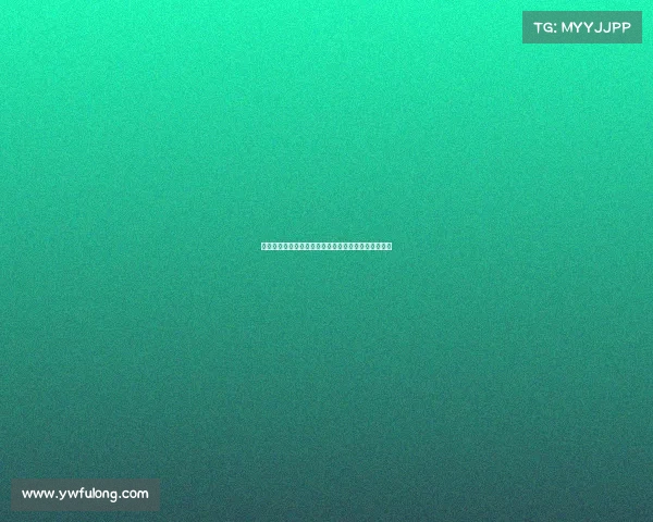 宝马赛事年度成绩辉煌展示速度激情铸就不凡荣耀战绩